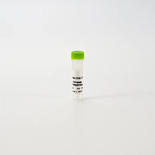 HTRF Human and Mouse Total CDK5 Detection Kit, Control Lysate